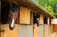 free St Fillans stable construction quotes